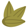 Cardamom