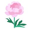 Peony