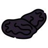 Tonka bean